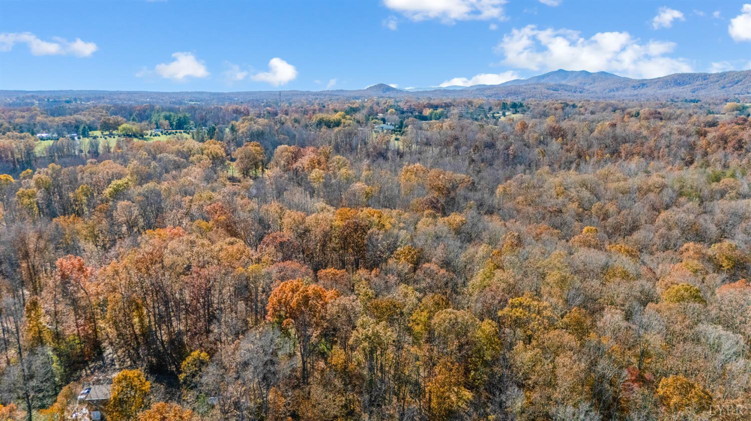 235 Riversedge Lane Amherst, VA 24521 - Photo 54 of 59 a view of a city with lush green forest