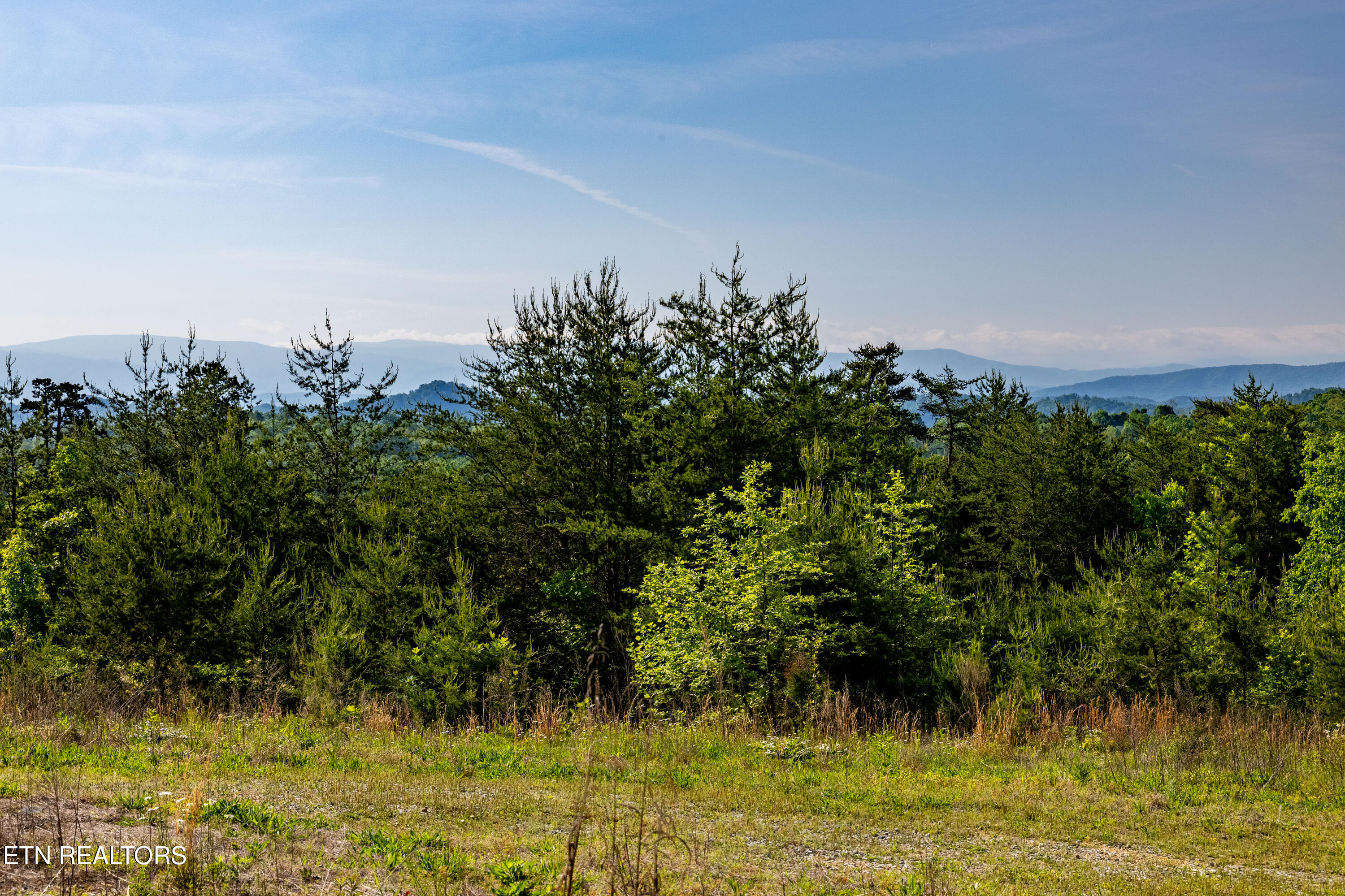 110 Garren Road Madisonville, TN 37354 - Photo 4 of 55 110GarrenRd-1