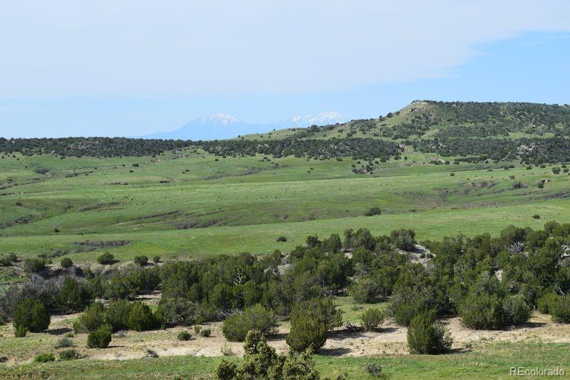 0 Claymine Road Rye, CO 81069 - Photo 3 of 33 Gallery Image 3