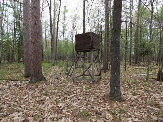Near1220 Shields Road St. Germain, WI 54558 - Photo 6 of 9 Gallery Image 6