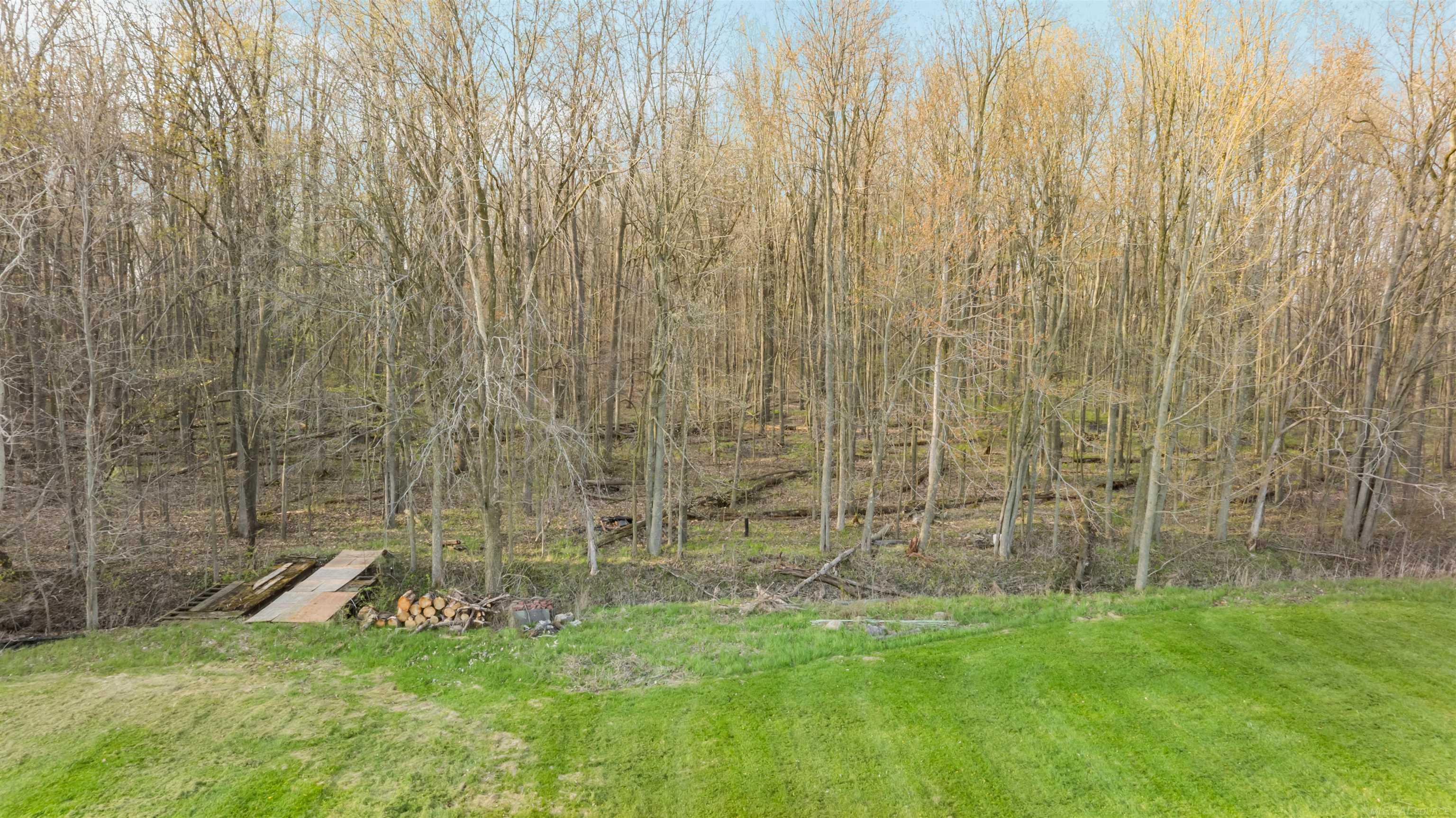 13148 Hunt Road Memphis, MI 48041 - Photo 50 of 71