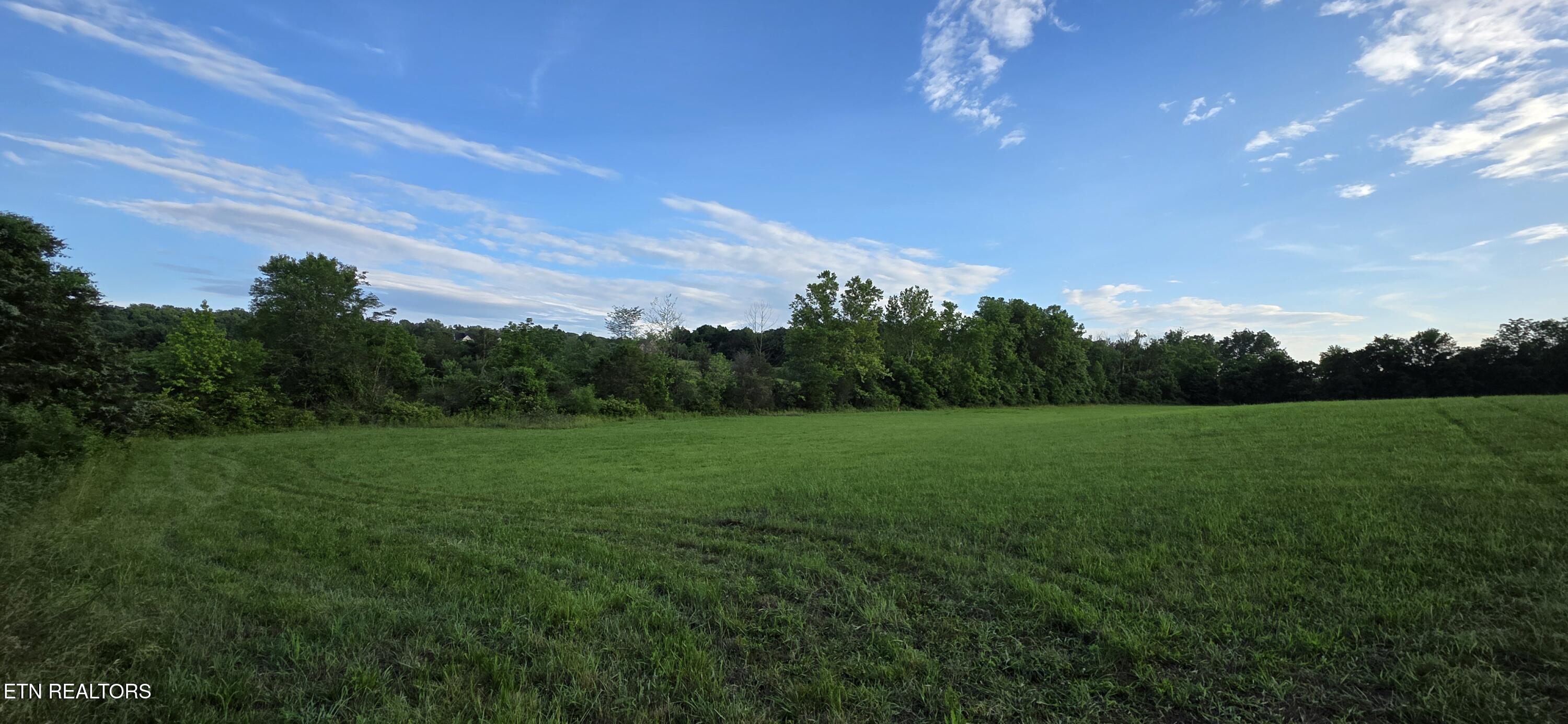 1040 Smith Valley Road Lenoir City, TN 37772 - Photo 7 of 8 1000007473