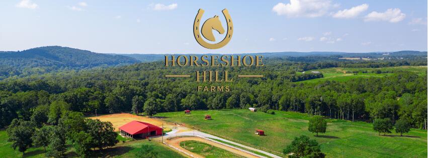 0 Easome Road Altavista, VA 24517 - Photo 5 of 6 horseshoefarms
