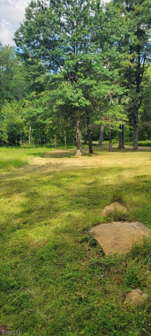 13 Ridge Road Hopewell, NJ 08525 - Photo 2 of 8 a view of yard with swimming pool and green space