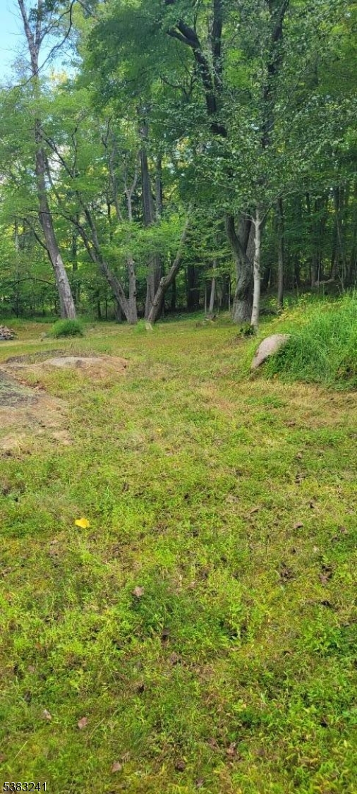 13 Ridge Road Hopewell, NJ 08525 - Photo 3 of 8 a view of a garden