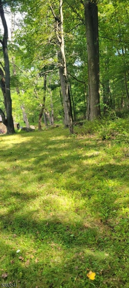 13 Ridge Road Hopewell, NJ 08525 - Photo 4 of 8 a view of a yard with an trees