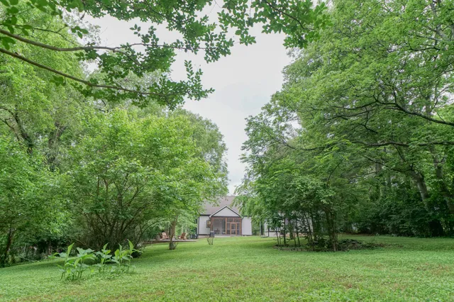 a green field with lots of trees in it