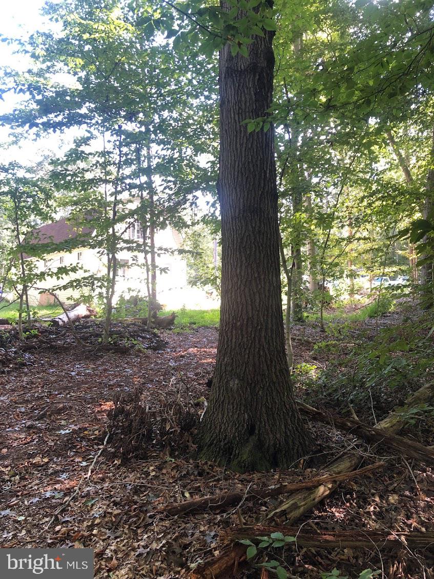 14317 Jericho Park Road Bowie, MD 20715 - Photo 11 of 11