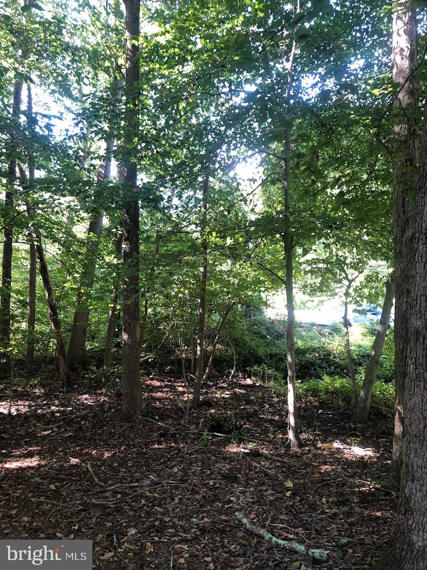 14317 Jericho Park Road Bowie, MD 20715 - Photo 3 of 11