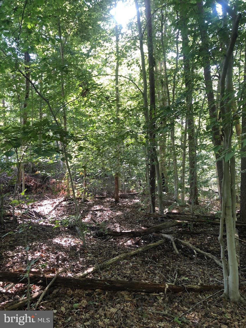 14317 Jericho Park Road Bowie, MD 20715 - Photo 7 of 11