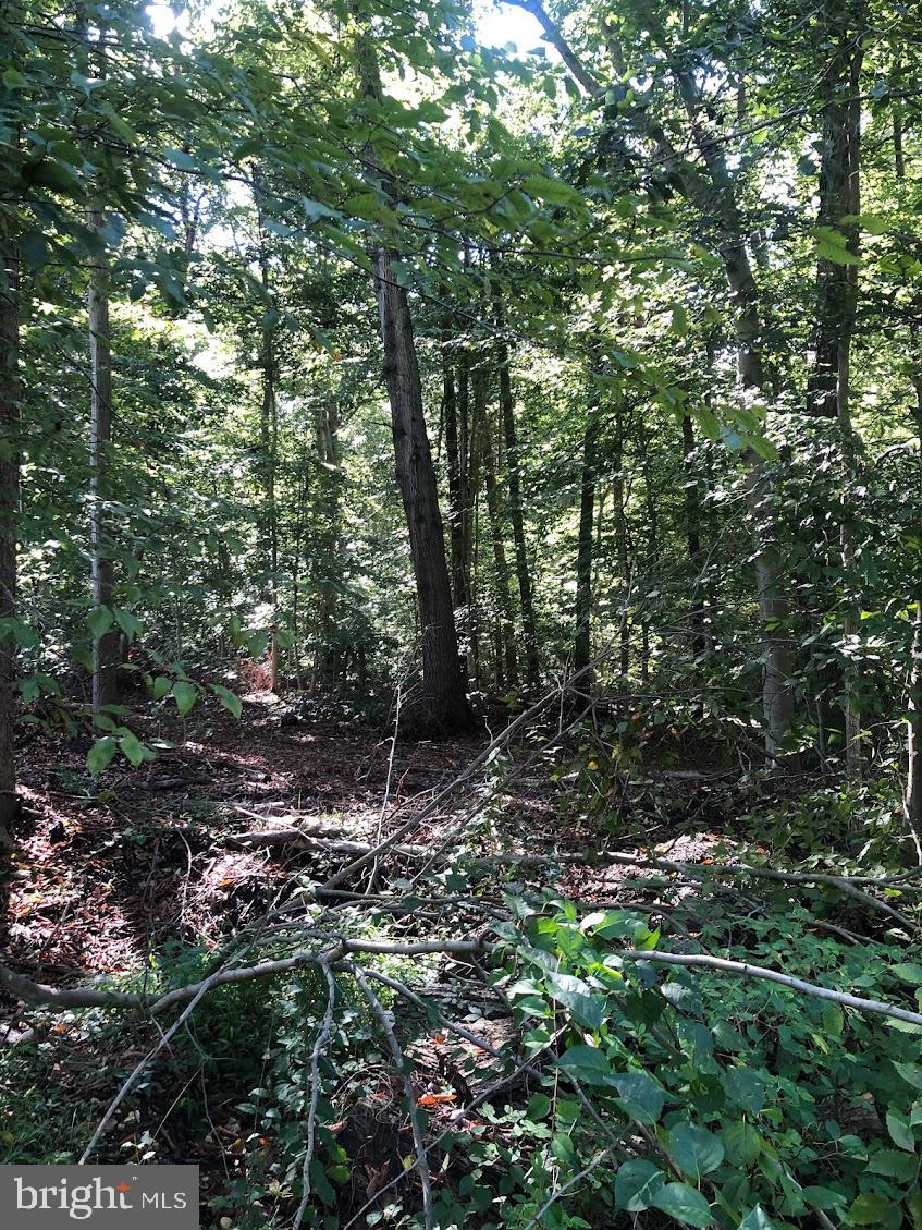 14317 Jericho Park Road Bowie, MD 20715 - Photo 9 of 11