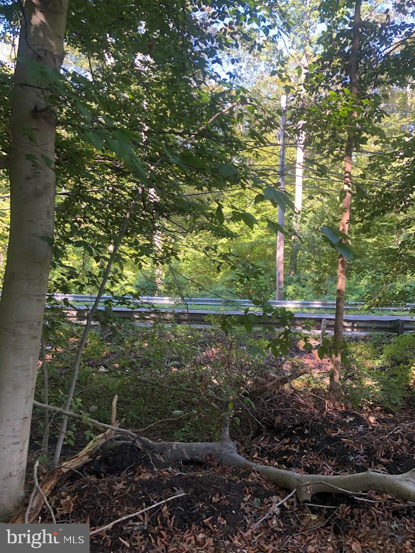 14317 Jericho Park Road Bowie, MD 20715 - Photo 10 of 11