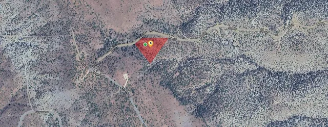 a view of a dry yard