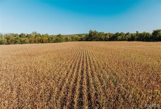 $539,000 | 0 Maries Road 407, Belle, MO 65013