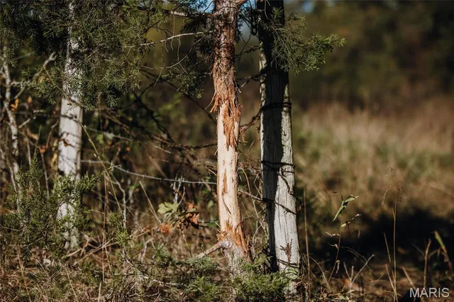 $539,000 | 0 Maries Road 407, Belle, MO 65013