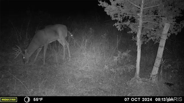 $539,000 | 0 Maries Road 407, Belle, MO 65013