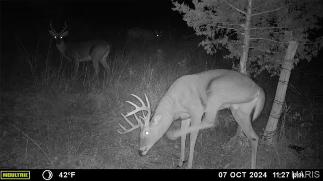 $539,000 | 0 Maries Road 407, Belle, MO 65013