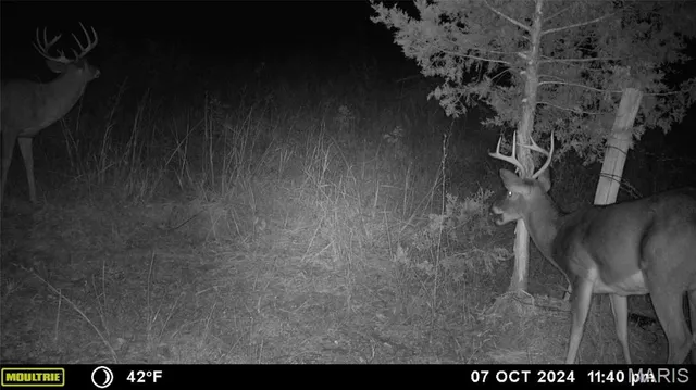 $539,000 | 0 Maries Road 407, Belle, MO 65013