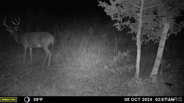 $539,000 | 0 Maries Road 407, Belle, MO 65013