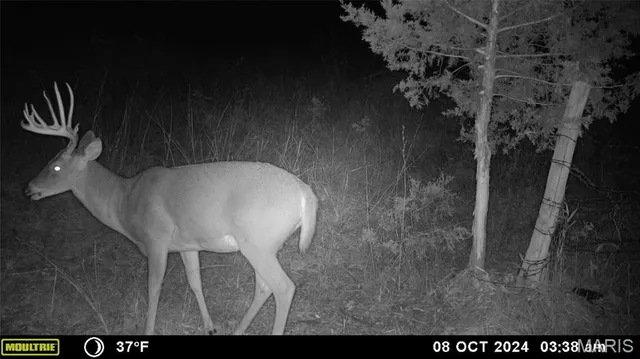 $539,000 | 0 Maries Road 407, Belle, MO 65013