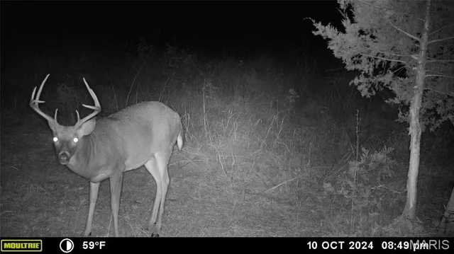 $539,000 | 0 Maries Road 407, Belle, MO 65013