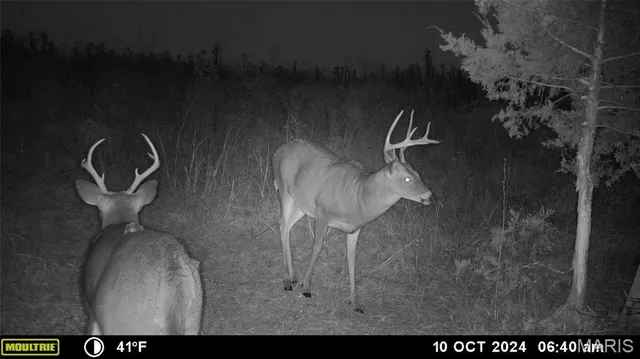 $539,000 | 0 Maries Road 407, Belle, MO 65013