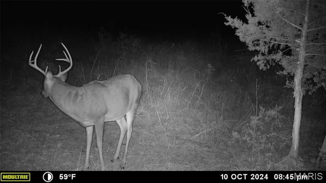 $539,000 | 0 Maries Road 407, Belle, MO 65013