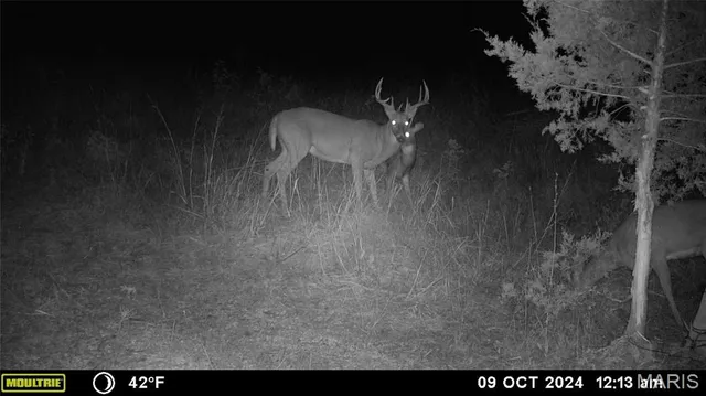 $539,000 | 0 Maries Road 407, Belle, MO 65013