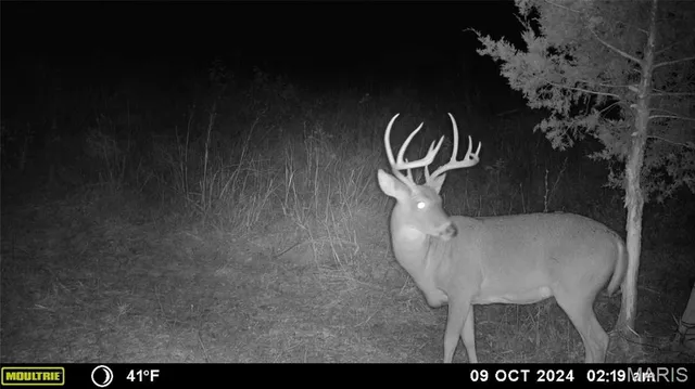 $539,000 | 0 Maries Road 407, Belle, MO 65013