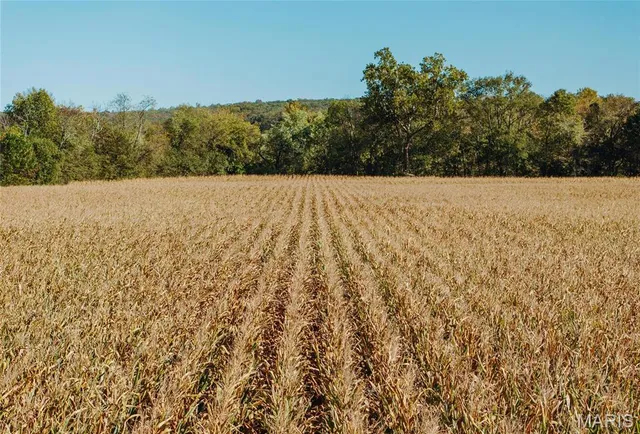 $539,000 | 0 Maries Road 407, Belle, MO 65013