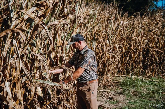 $539,000 | 0 Maries Road 407, Belle, MO 65013