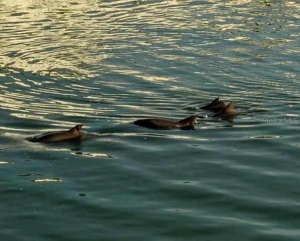 an outdoor space with seating space