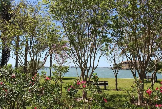 a view of a swimming pool