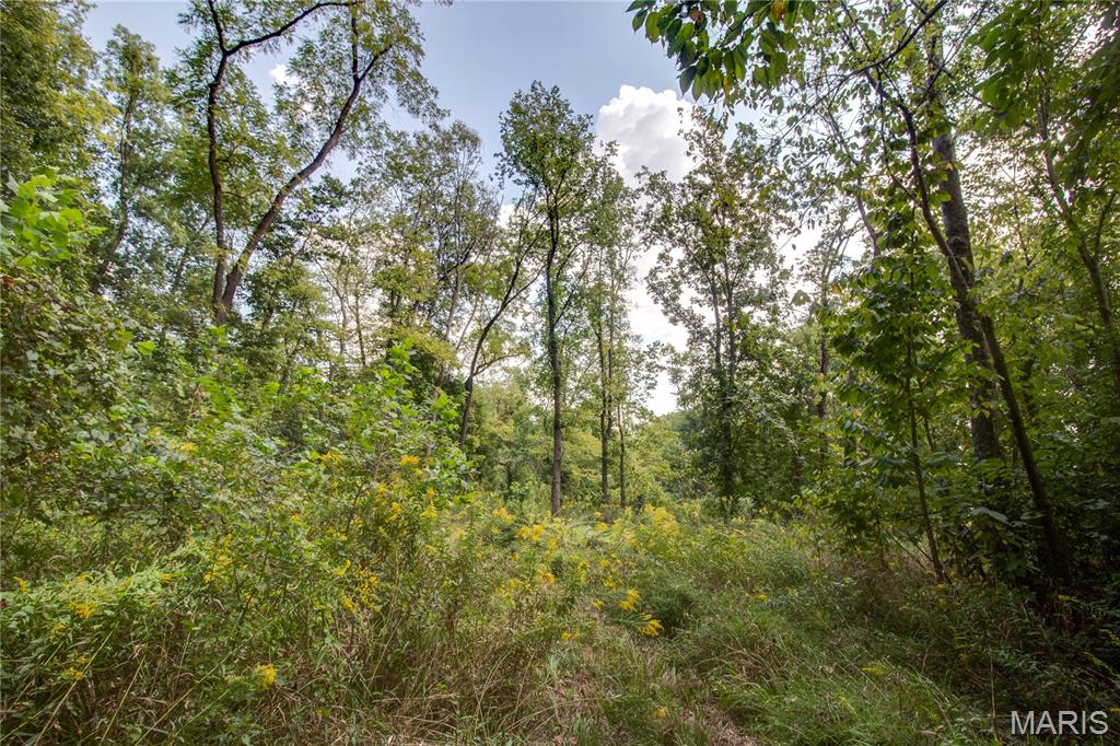 Marine Rd Marine Road Highland, IL 62249 - Photo 12 of 49 Gallery Image 12