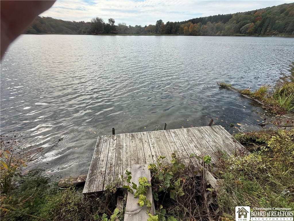 7162 Lake Road Belfast, NY 14711 - Photo 17 of 25 Gallery Image 17