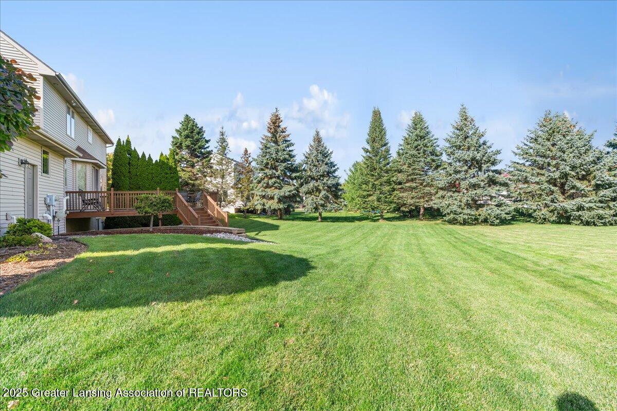11701 Hidden Ridge Drive Dewitt, MI 48820 - Photo 48 of 57 32-Media Jett - 15