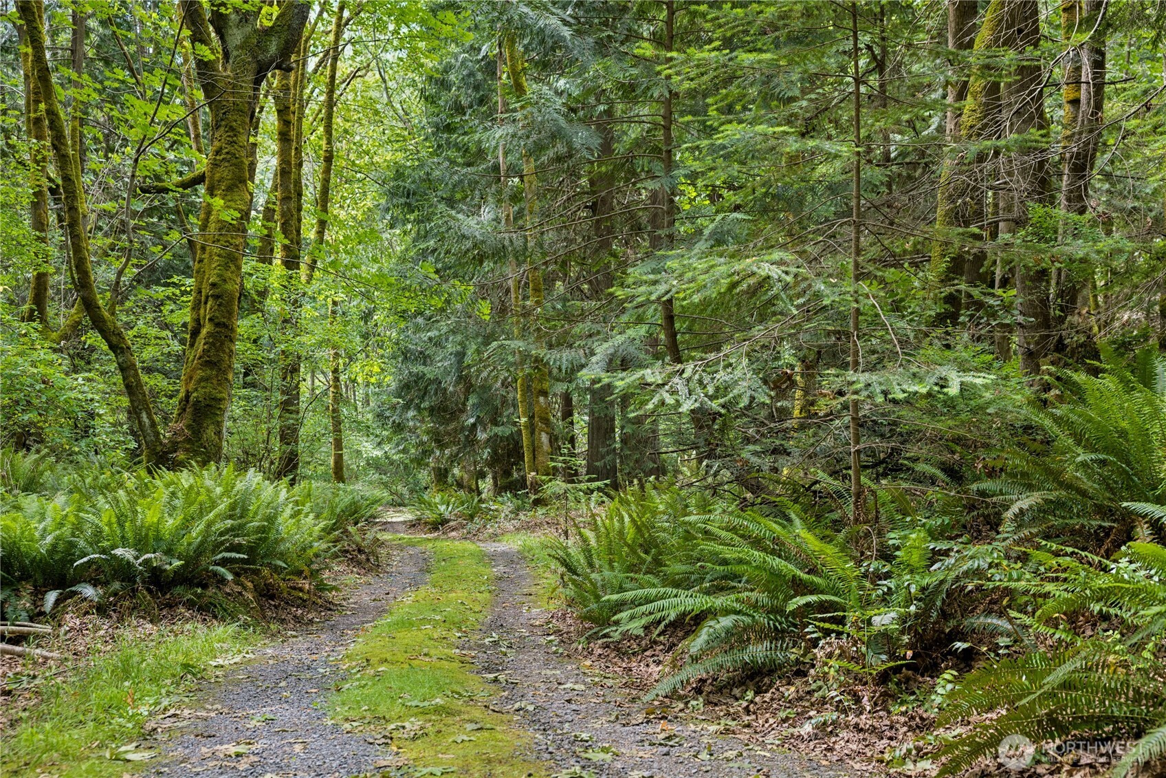 0 K-tract 9 Mcdonald Road Quilcene, WA 98376 - Photo 23 of 31