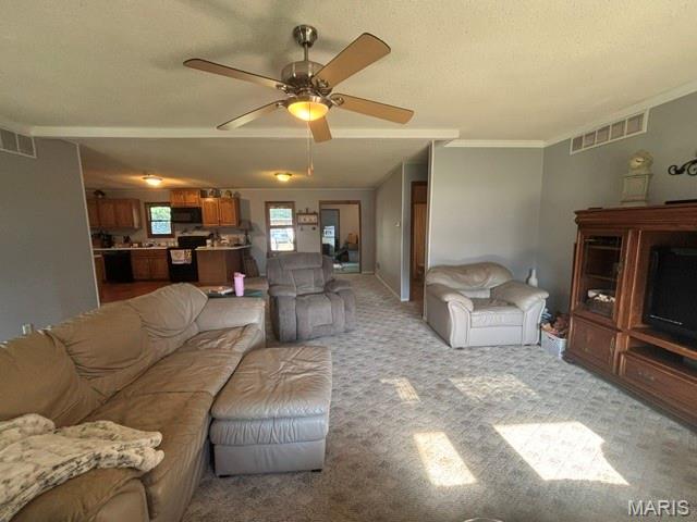 309 Palmyra Street Perry, MO 63462 - Photo 10 of 30