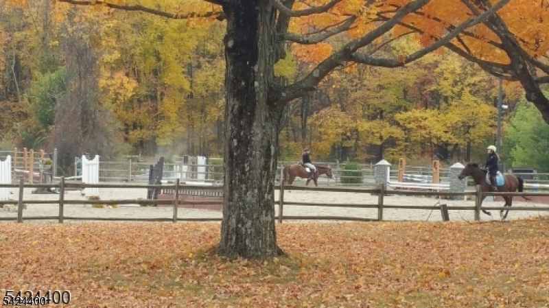 259 Long Meadow Road Kinnelon, NJ 07405 - Photo 12 of 12