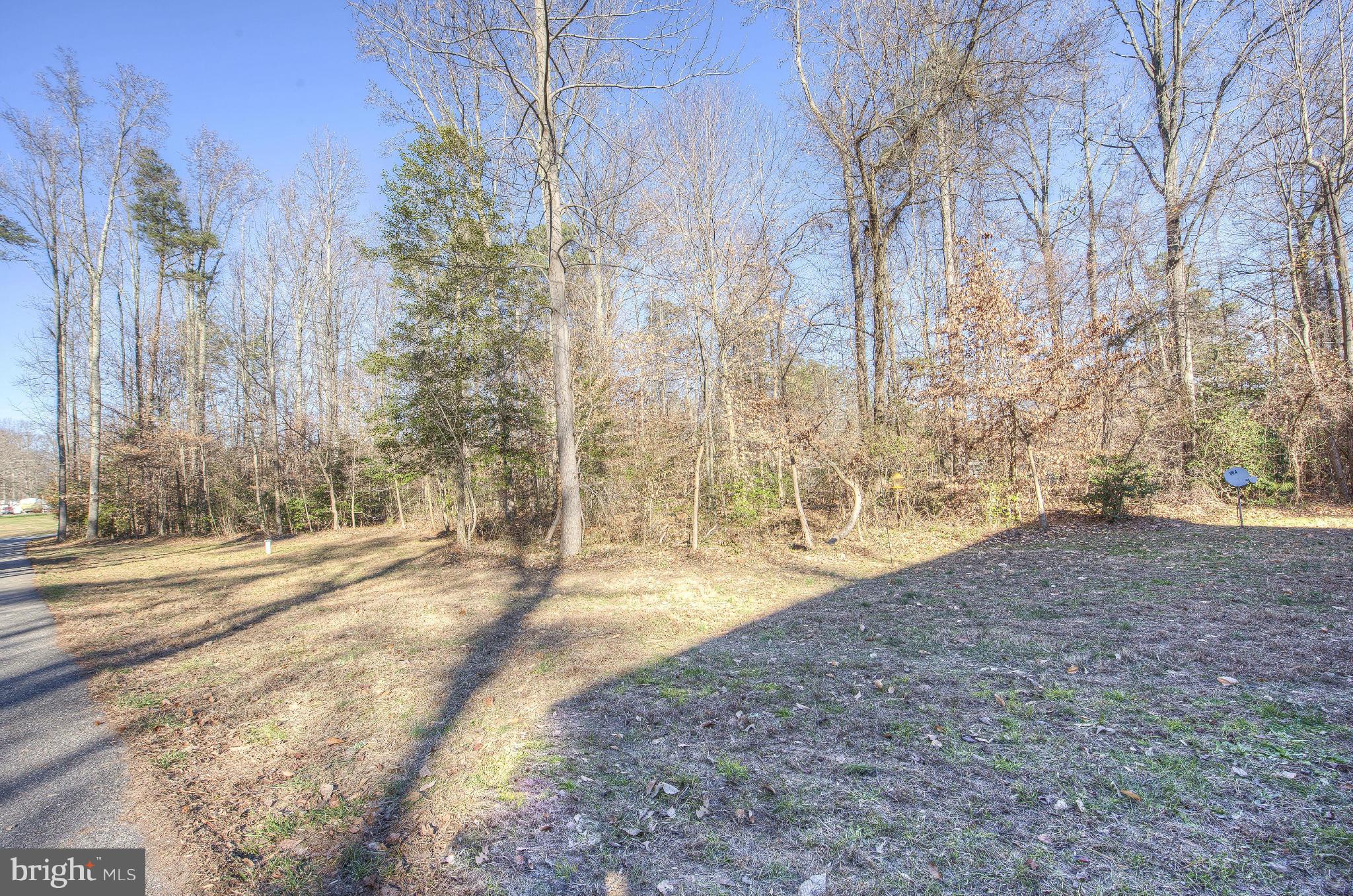 14474 Round Hill Road King George, VA 22485 - Photo 4 of 30 Front yard view down the driveway to the road