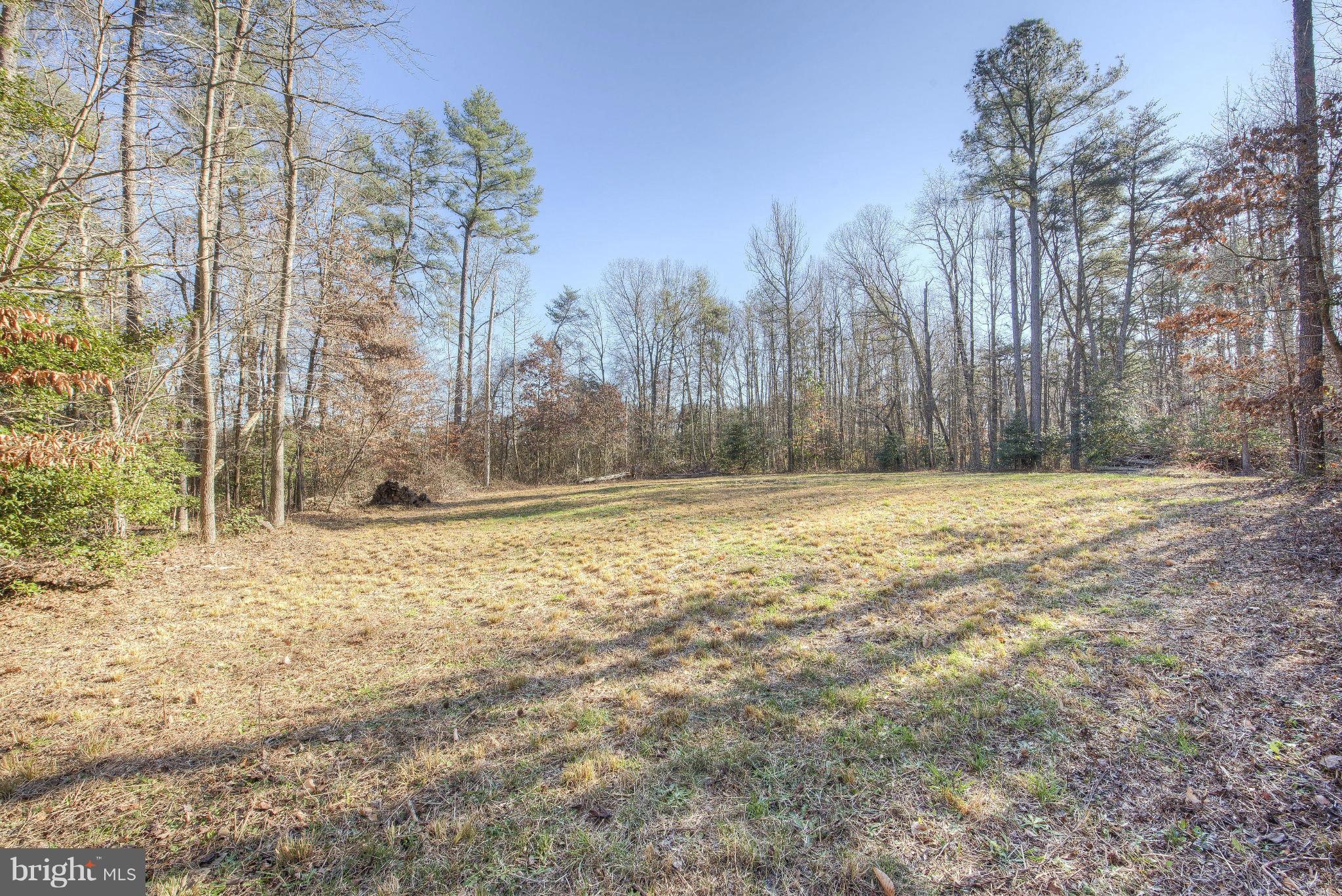 14474 Round Hill Road King George, VA 22485 - Photo 5 of 30 Back yard cleared area