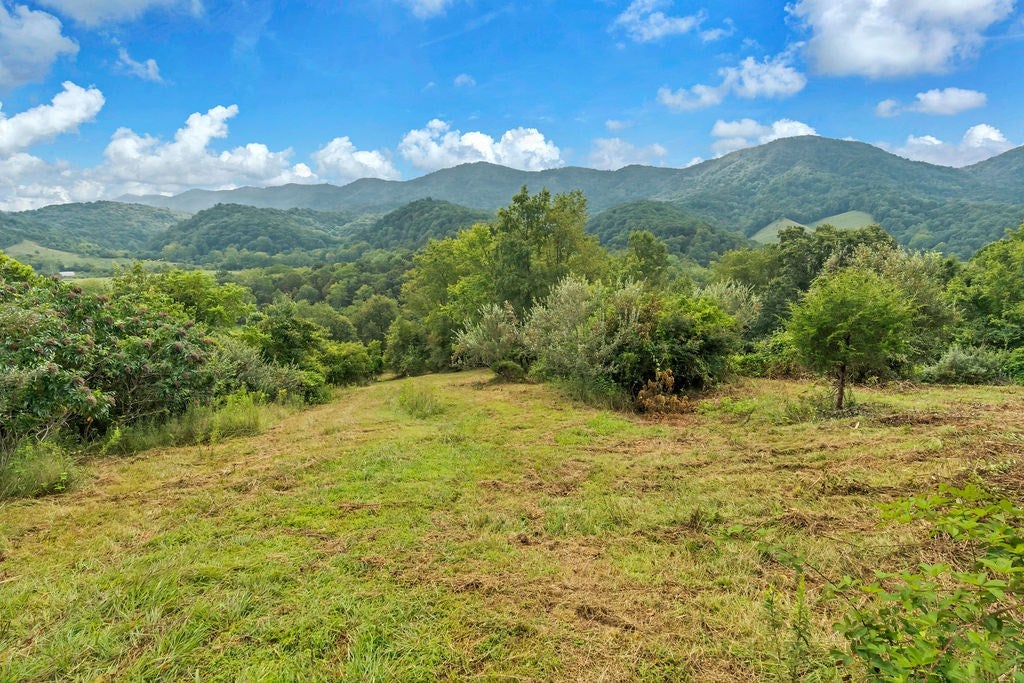 6931 Moccasin Valley Road Lebanon, VA 24266 - Photo 58 of 59 Gallery Image 58
