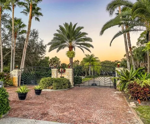 a view of potted plants and palm trees