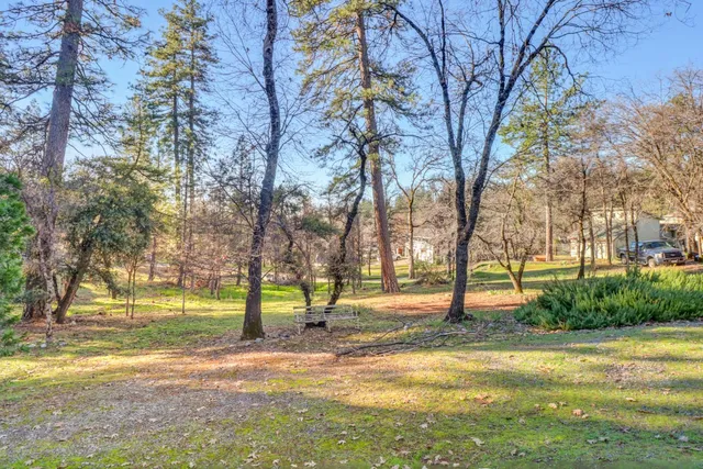 a view of a yard in front of a house