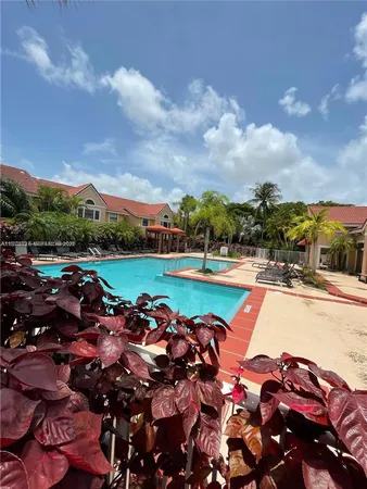a view of a swimming pool with lawn chairs and large trees