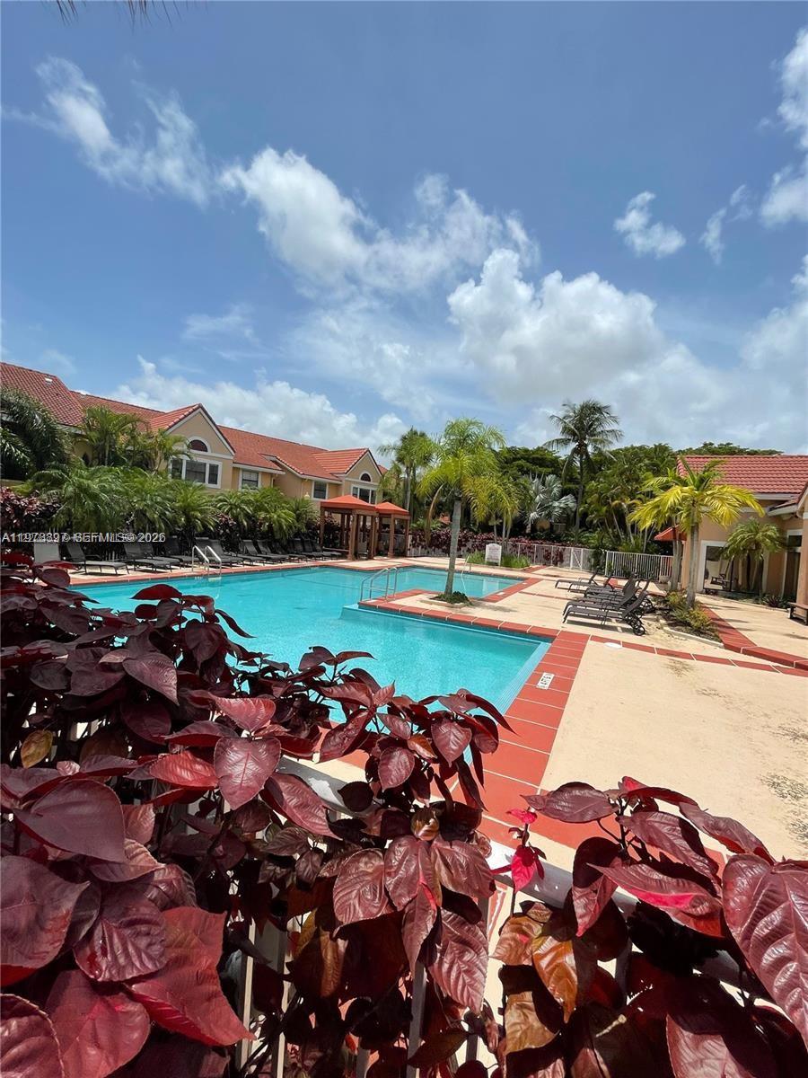 15581 Southwest 104th Terrace, Unit 224 Miami, FL 33196 - Photo 16 of 18 a view of a swimming pool with lawn chairs and large trees
