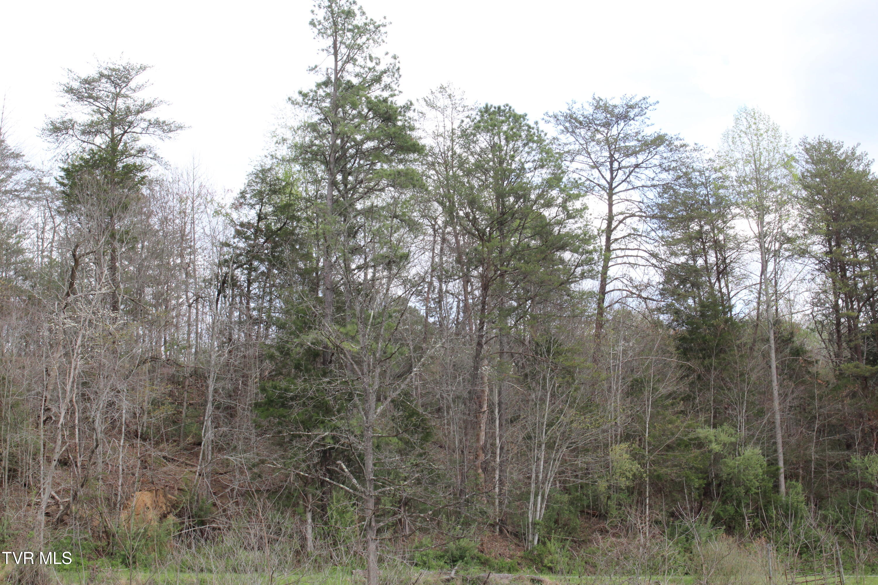 1 Reeds Creek Road, Unit LOTS 3 & 4 Keokee, VA 24265 - Photo 3 of 5 IMG_6719