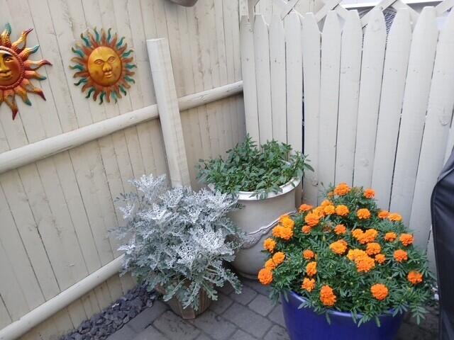 258 Vaughan Street Portland, ME 04102 - Photo 40 of 74 Patio