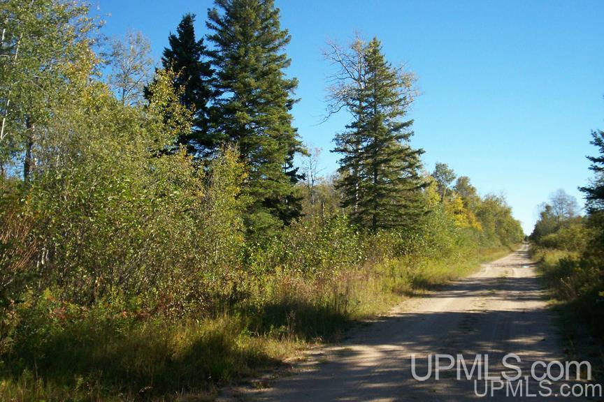 Tbd 140 Acres Off Parkington Road Gulliver, MI 49840 - Photo 1 of 11