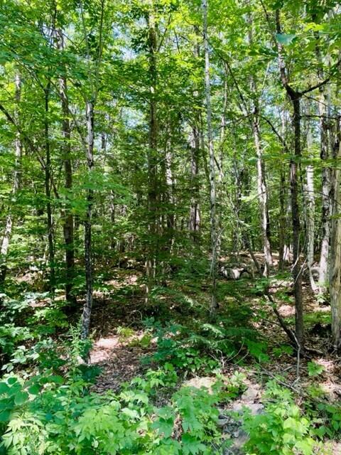 0 Getchell Corner Road Vassalboro, ME 04989 - Photo 2 of 6 2